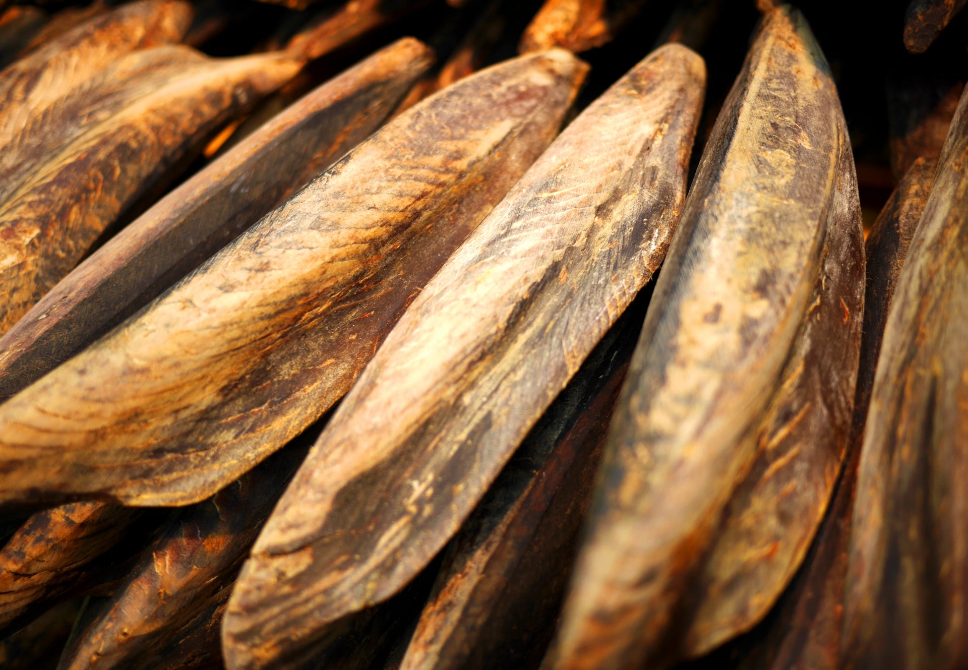 鰹節が健康に良いとされる理由