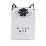 ねこまんまじかん-2